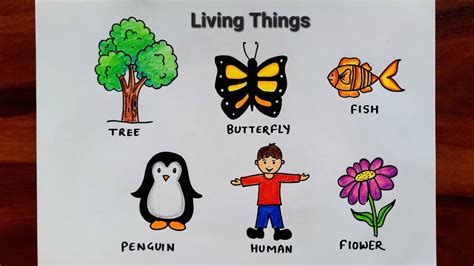 5 living things drawing